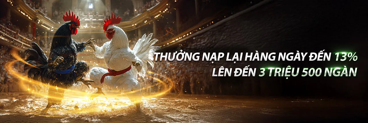 Đá Gà CPC C2 Hôm Nay Kịch Tính